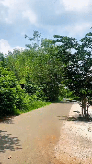 Mua bán Đất Huyện Long Thành Đồng Nai diện tích 120 m² giá 1,3 tỷ