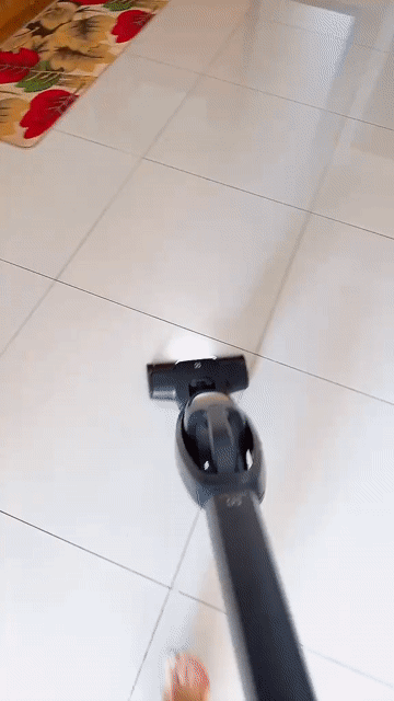 Máy hút bụi Electrolux WQ61-1EDBF Xám. Mua bán Thiết bị vệ sinh, nhà tắm tại Thành phố Vũng Tàu Bà Rịa - Vũng Tàu được đăng bởi Thanh Tuan  hình 1