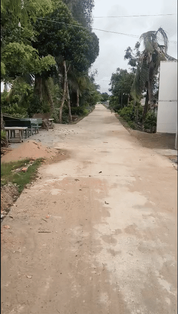 Cho thuê Nhà ở Huyện Bến Lức Long An diện tích 50 m² giá 3,5 triệu/tháng