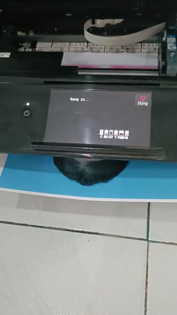 Máy in đa năng Canon Đen. Mua bán Đồ dùng văn phòng tại Huyện Trà Cú Trà Vinh được đăng bởi Hoàng Sang Ảnh màu hình 1