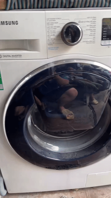 Máy giặt Samsung Inverter 10kg bao shiplắp đặt hcm. Mua bán Máy giặt tại Quận Tân Bình Tp Hồ Chí Minh được đăng bởi Quốc Cường hình 1