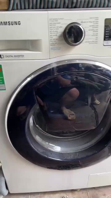 Máy giặt Samsung Inverter 10kg bao shiplắp đặt hcm. Mua bán Máy giặt tại Quận Tân Bình Tp Hồ Chí Minh được đăng bởi Quốc Cường hình 1