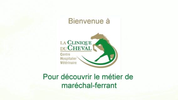 Le métier de maréchal-ferrant.