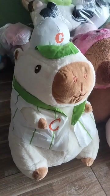 Gấu bông Capybara Vải bông. Mua bán Sở thích khác tại Quận 6 Tp Hồ Chí Minh được đăng bởi Kim Thủy hình 1