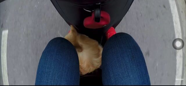 Liberty 125 2019 chính chủ máy êm xe đẹp. Mua bán Xe máy tại Quận 10 Tp Hồ Chí Minh được đăng bởi Thắng hình 1