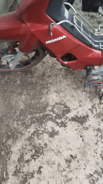 Honda Wave màu Đỏ. Mua bán Xe máy tại Huyện Kế Sách Sóc Trăng được đăng bởi thu xác điện thoại giá cao tận nơi  hình 1