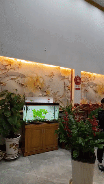 Cho thuê Nhà ở Quận 12 Tp Hồ Chí Minh diện tích 175 m² giá 65 triệu/tháng