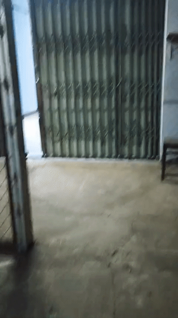 Cho thuê Nhà ở Thành phố Buôn Ma Thuột Đắk Lắk diện tích 99 m² giá 3 triệu/tháng