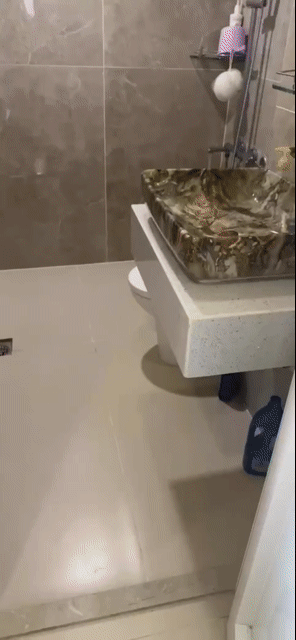 Mua bán Căn hộ Chung cư Thành phố Vũng Tàu Bà Rịa - Vũng Tàu diện tích 74 m² giá 4,2 tỷ