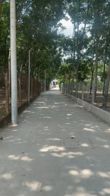 Mua bán Đất Thị xã Bến Cát Bình Dương diện tích 280 m² giá 1,25 tỷ