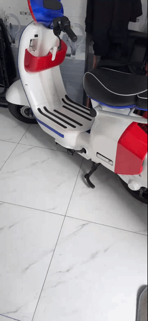 Xe đạp điện Dylaxe X1 Trắng 5 bình lớn odo 750km. Mua bán Xe đạp tại Quận Bình Tân Tp Hồ Chí Minh được đăng bởi thành loc  hình 1