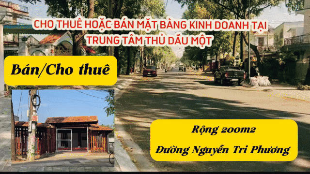 Cho thuê Đất Thành phố Thủ Dầu Một Bình Dương diện tích 194 m² giá 18 triệu/tháng