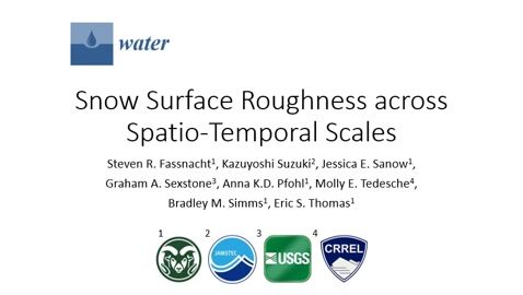Snow Surface Roughness across Spatio-Temporal Scales