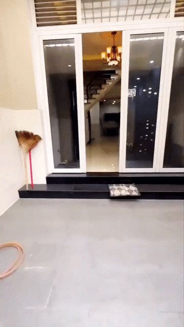 Cho thuê Nhà ở Quận Gò Vấp Tp Hồ Chí Minh diện tích 64 m² giá 10 triệu/tháng