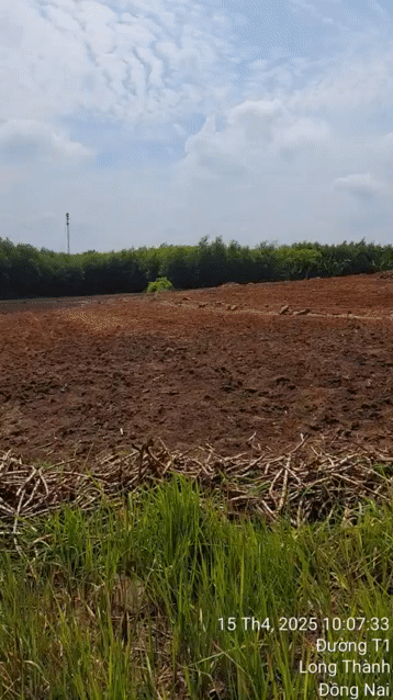 Mua bán Đất Huyện Long Thành Đồng Nai diện tích 1000 m² giá 2,5 tỷ