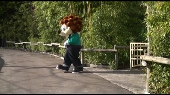 Les métiers de Nigloland