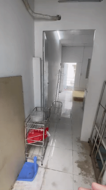 Cho thuê Căn hộ Chung cư Quận 1 Tp Hồ Chí Minh diện tích 20 m² giá 4,5 triệu/tháng