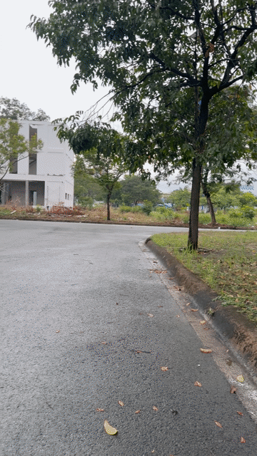 Mua bán Đất Khu đô thị Bình Nguyên Thành phố Dĩ An Bình Dương diện tích 317.5 m² giá 17,5 tỷ