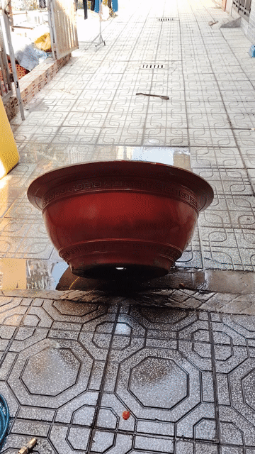 Chậu cây gốm sứ Đỏ 90cm. Mua bán Cây cảnh, đồ trang trí tại Thị xã Tân Uyên Bình Dương được đăng bởi Duonghung hình 1
