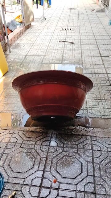 Chậu cây gốm sứ Đỏ 90cm. Mua bán Cây cảnh, đồ trang trí tại Thị xã Tân Uyên Bình Dương được đăng bởi Duonghung hình 1