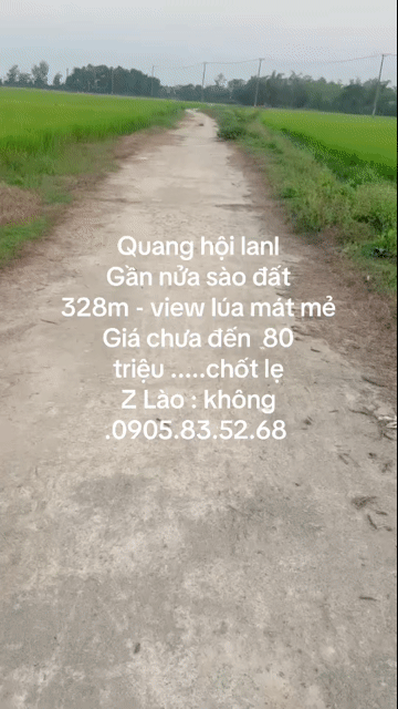 Mua bán Đất Huyện Thăng Bình Quảng Nam diện tích 328 m² giá 80 triệu