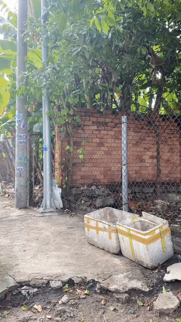 Mua bán Đất Huyện Long Điền Bà Rịa - Vũng Tàu diện tích 335.6 m² giá 2,2 tỷ