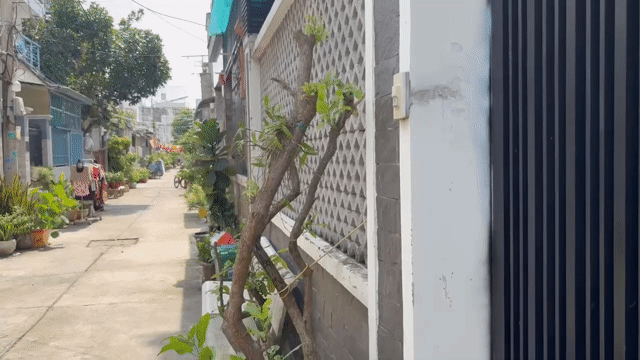Mua bán Nhà ở Quận 7 Tp Hồ Chí Minh diện tích 105.3 m² giá 8,798 tỷ