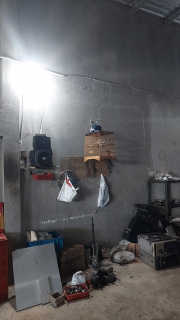 Chim chào mào trống hơn 1 mùa. Mua bán Chim tại Huyện Hóc Môn Tp Hồ Chí Minh được đăng bởi huuthang hình 1