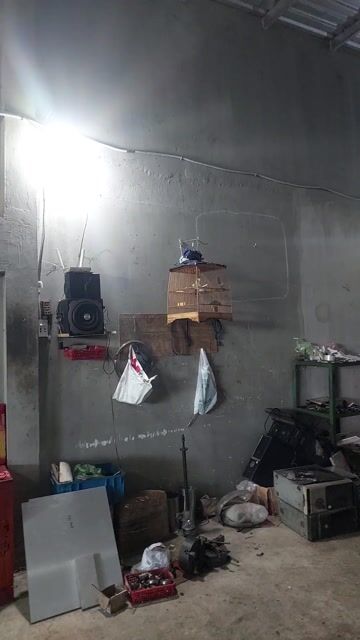 Chim chào mào trống hơn 1 mùa. Mua bán Chim tại Huyện Hóc Môn Tp Hồ Chí Minh được đăng bởi huuthang hình 1