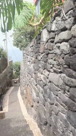 Stone walls and mosaic lanes, Jardim do Mar