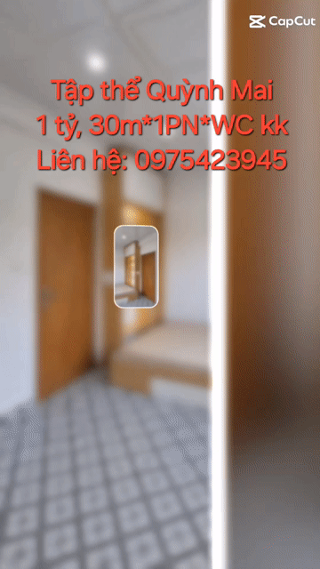 Mua bán Căn hộ Chung cư Quận Hai Bà Trưng Hà Nội diện tích 30 m² giá 1,1 tỷ