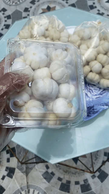 Nhà e có măng cụt xanh làm gỏi. Mua bán Đồ ăn, thực phẩm và các loại khác tại Quận Cái Răng Cần Thơ được đăng bởi Kenvin Châu hình 1