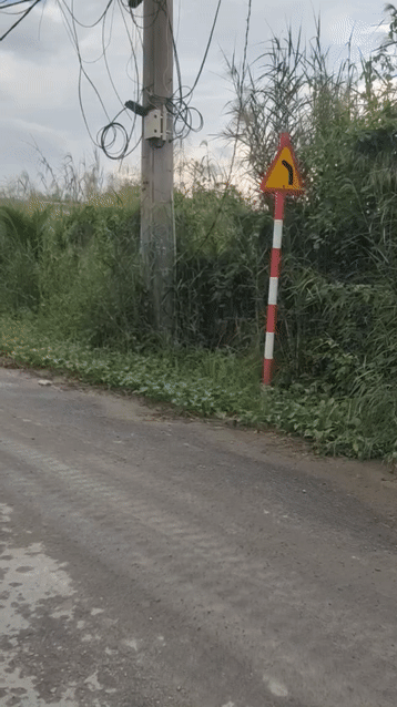 Mua bán Đất Huyện Bình Chánh Tp Hồ Chí Minh diện tích 8000 m² giá 47 tỷ
