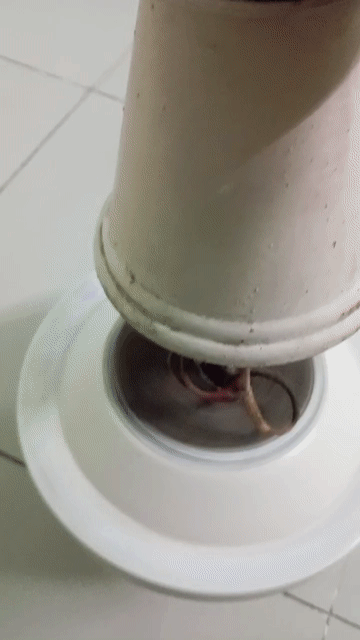 Quạt trần Trắng kem Mỹ. Mua bán Quạt tại Quận 7 Tp Hồ Chí Minh được đăng bởi an hình 1