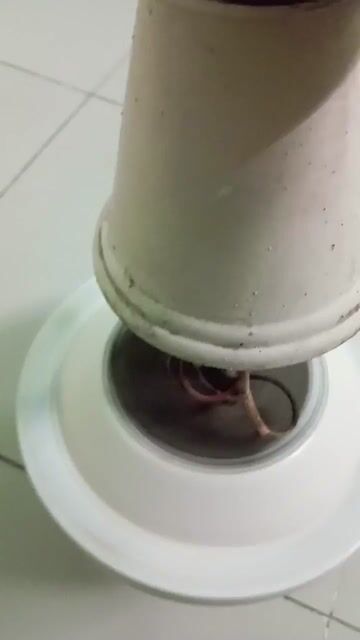 Quạt trần Trắng kem Mỹ. Mua bán Quạt tại Quận 7 Tp Hồ Chí Minh được đăng bởi an hình 1