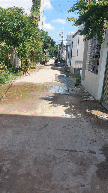 Cho thuê Nhà ở Quận 12 Tp Hồ Chí Minh diện tích 40 m² giá 4,5 triệu/tháng