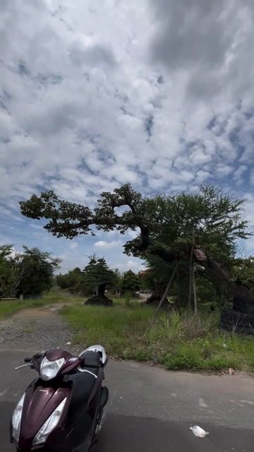 cần bán xe vison 2018. Mua bán Xe máy tại Thị xã Phú Mỹ Bà Rịa - Vũng Tàu được đăng bởi An Nhiên hình 1