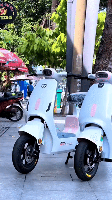 Xe đạp điện TAILG Trắng Xám Đen. Mua bán Xe đạp tại Quận 11 Tp Hồ Chí Minh được đăng bởi Lê Khôi Điện Máy Chuyên Góp hình 1