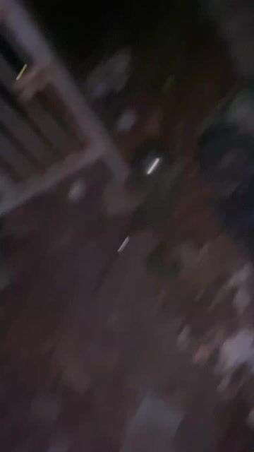 Chó lai lông dài , Lông đen. Mua bán Chó tại Huyện Quế Võ Bắc Ninh được đăng bởi Nguyễn Minh hình 1