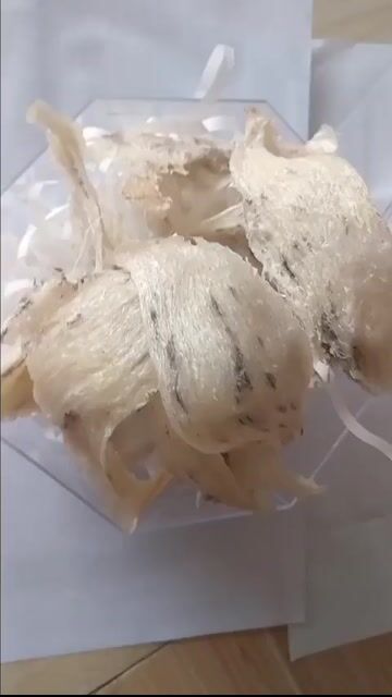 Tổ yến tự nhiên 100gr ít lông. Mua bán Đồ ăn, thực phẩm và các loại khác tại Huyện Thạnh Hóa Long An được đăng bởi Dương thị cẩm mộng hình 1