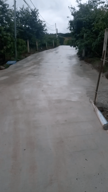 Mua bán Đất Thành phố Đà Lạt Lâm Đồng diện tích 14553 m² giá 19 tỷ