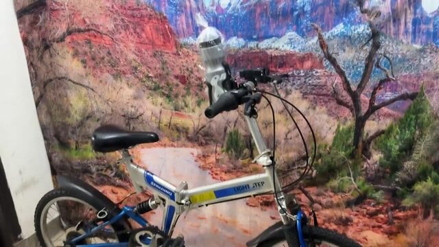 Xe đạp xếp Nhật Bản SPALDING 20 inch. Mua bán Xe đạp tại Quận Tân Bình Tp Hồ Chí Minh được đăng bởi Bbb hình 1