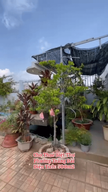 Cho thuê Nhà ở Thành phố Biên Hòa Đồng Nai diện tích 500 m² giá 13 triệu/tháng
