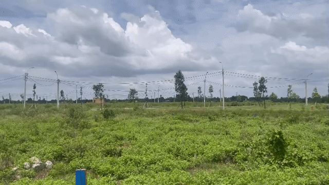 Mua bán Đất Huyện Nhơn Trạch Đồng Nai diện tích 140 m² giá 6,6 tỷ