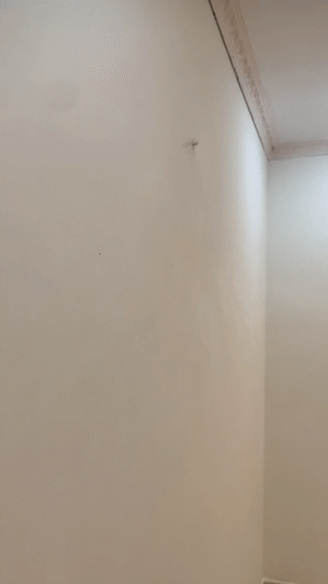 Cho thuê Phòng trọ Quận 7 Tp Hồ Chí Minh diện tích 37 m² giá 5 triệu/tháng