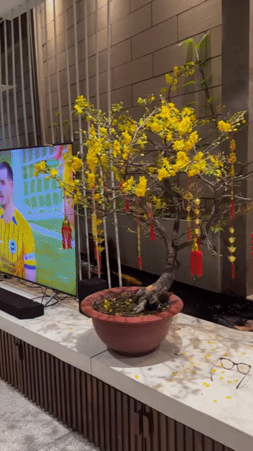 Mua bán Nhà ở Quận Gò Vấp Tp Hồ Chí Minh diện tích 102 m² giá 11 tỷ