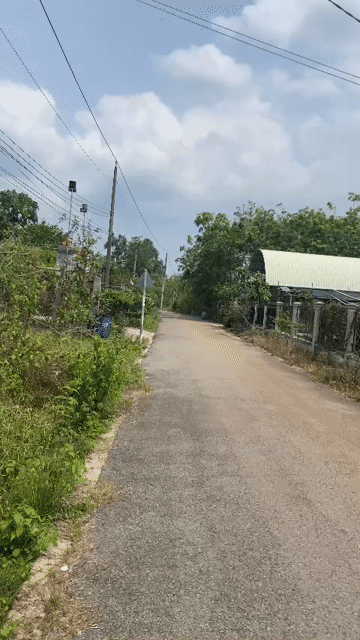 Mua bán Đất Huyện Dầu Tiếng Bình Dương diện tích 147 m² giá 420 triệu