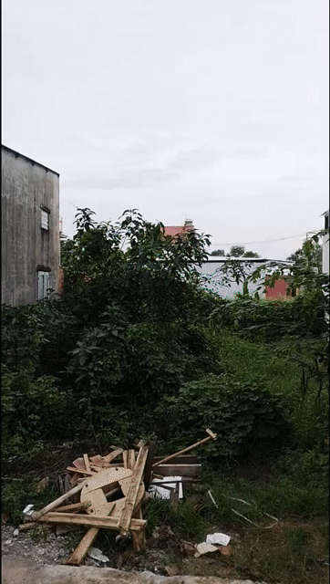 Mua bán Đất Huyện Hóc Môn Tp Hồ Chí Minh diện tích 100 m² giá 2,95 tỷ