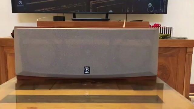 CENTER YAMAHA NS-C5 HX-Bass 15+1 Siêu Treble,. Mua bán Tivi, Âm thanh tại Huyện Cẩm Mỹ Đồng Nai được đăng bởi Trần Đức Ngọc hình 1
