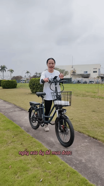 Xe đạp trợ lực điện Wahama E1. Mua bán Xe đạp tại Huyện Đông Anh Hà Nội được đăng bởi XE ĐIỆN VŨ HẢI  hình 1